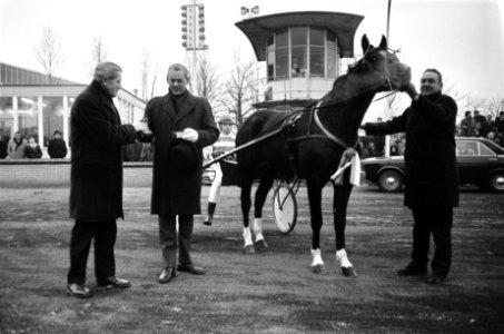 Huldiging paard Henri Buitenzorg . P. A. Meinardi , hr. Van Binsbergen (voorzi, Bestanddeelnr 923-1095