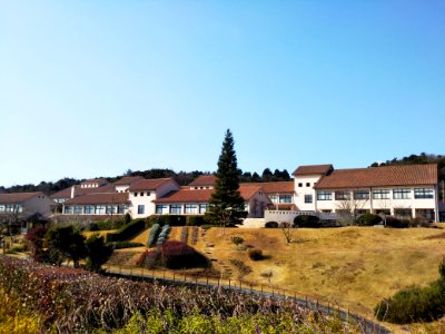 Hyogo-Pref-ALPHA-2020010302