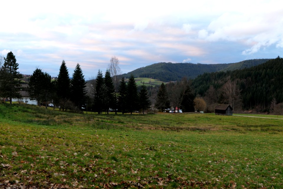 Huzenbach Baiersbronn 2020-03-11 02