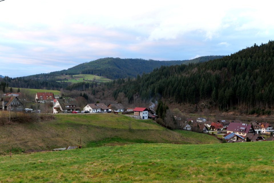 Huzenbach Baiersbronn 2020-03-11 04