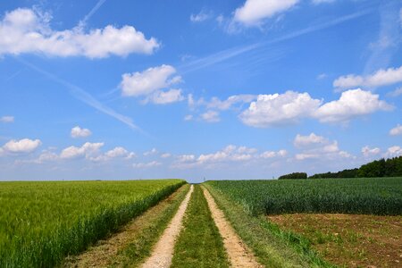 Away nature dirt track