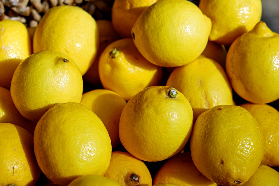 Tart refreshment citrus fruits