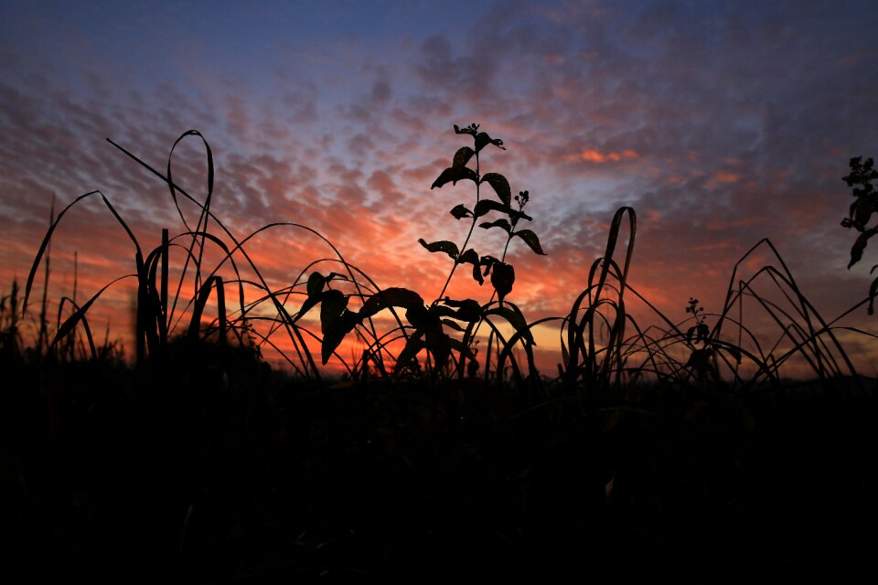 Sky landscape autumn