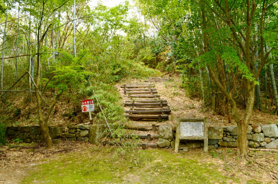 Hyotanyama-kofun (Azuchi) entrance-2