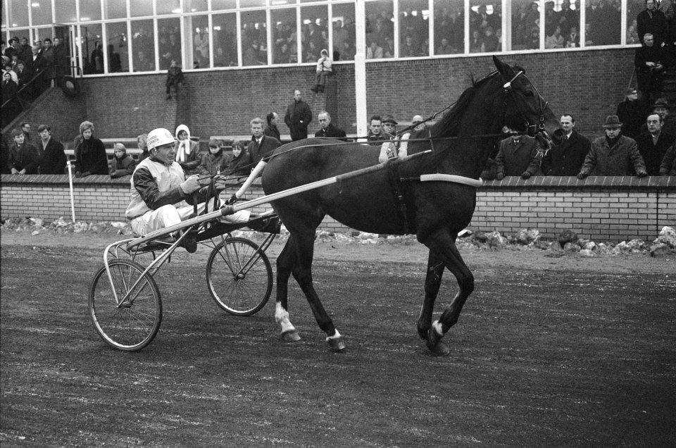 Huldiging paard Henri Buitenzorg . Afscheid van Cherie Spencer , op de sulky J. , Bestanddeelnr 923-1098