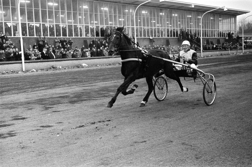 Huldiging paard Henri Buitenzorg . Afscheid van Cherie Spencer , op de sulky J. , Bestanddeelnr 923-1096