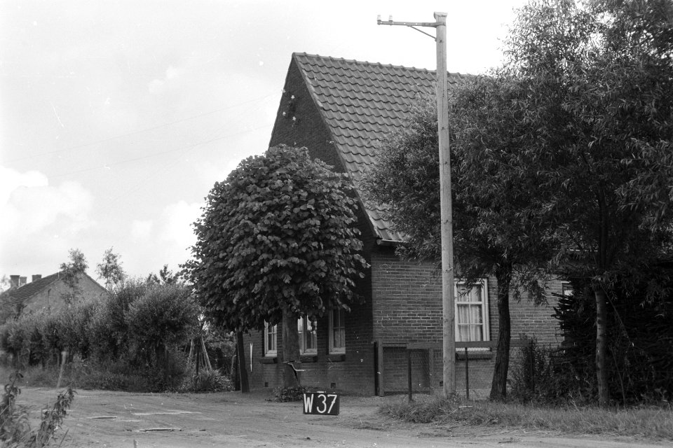 Huis te Wamel (ruilverkaveling Maas en Waal), Bestanddeelnr 170-2224