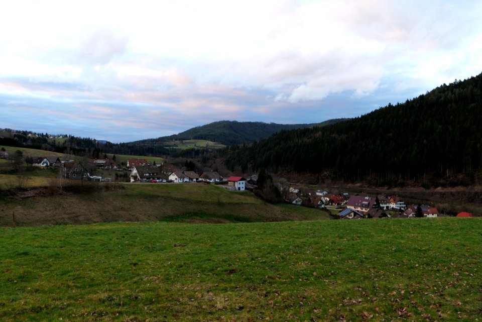 Huzenbach Baiersbronn 2020-03-11 05