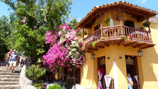 Tropics architecture house