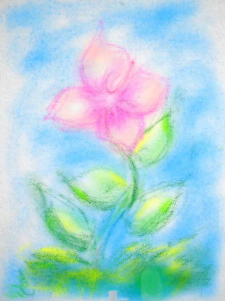Flower pastels blue drawing