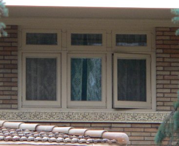 Hubert H. Everist house SW windows 2
