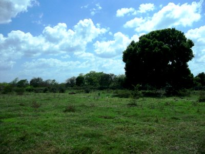 Hubilá, Yucatán (05)