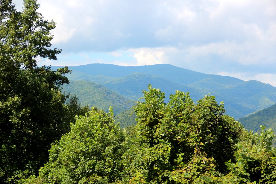 Huckleberry Knob and Little Huckleberry Knob from Santeetlah Gap, Sept 2019
