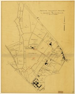 HUA-216064-Kadastraal uittreksel van de gemeenten Lauwerecht sectie B en Zuilen sectie B het terrein tussen de Vecht huidige Acaciastraat Amsterdamsestraatweg te