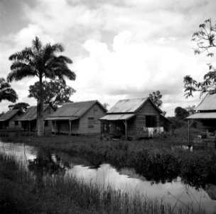 Huizen op de voormalige plantage Leonsberg in Suriname, Bestanddeelnr 252-6412