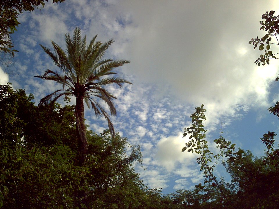 Huerta de San Juan