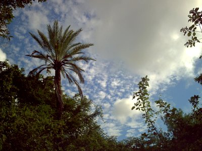 Huerta de San Juan