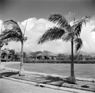 Huizen in de wijk Rio Canario bij de olieraffinaderij van de CPIM op de Isla op , Bestanddeelnr 252-7755