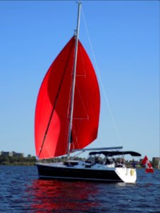 Hunter 45 DS sailboat with spinnaker 1137