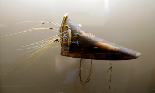 Hunting hat, Unangan or Alutiiq, Alaska, 1800s - Native American collection - Peabody Museum, Harvard University - DSC05852