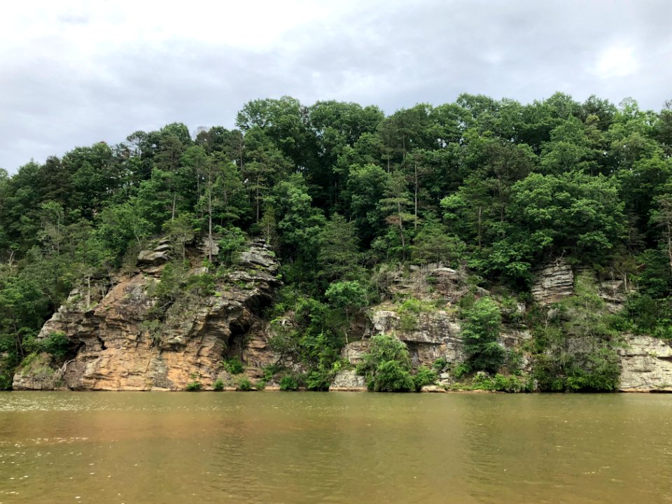 Huntcliff, Chattahooche River, May 2018 2