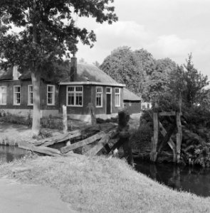 Huizen, bomen, Bestanddeelnr 251-3918