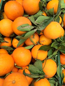 Market stall orange nature