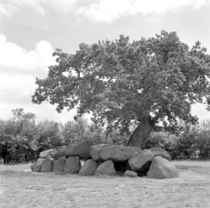 Hunebed bij Rolde, Bestanddeelnr 254-5163