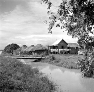 Huizen aan een kanaal in Nieuw-Nickerie, Bestanddeelnr 252-5507