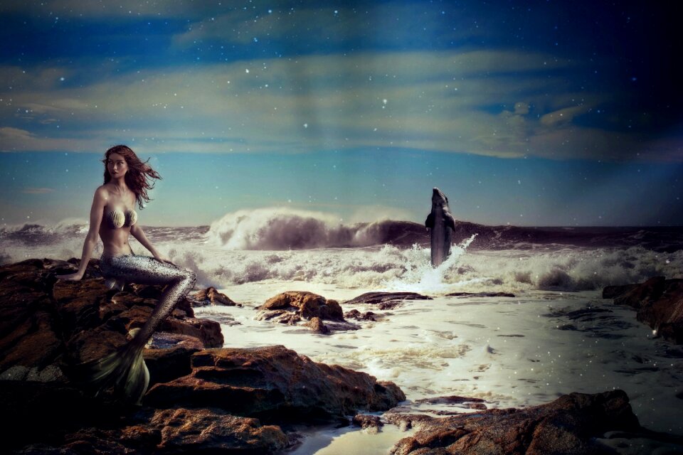 Sea dolphin animal woman