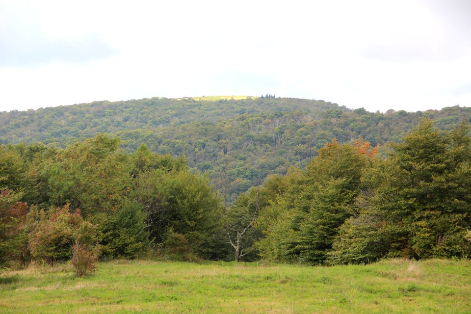 Huckleberry Knob from Hooper Bald, Sept 2019