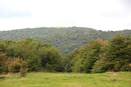 Huckleberry Knob from Hooper Bald, Sept 2019
