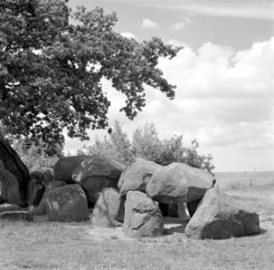 Hunebed bij Rolde, Bestanddeelnr 254-5166