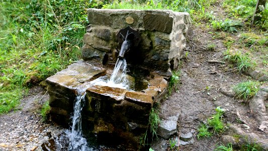 Hubertusquelle bei Thale