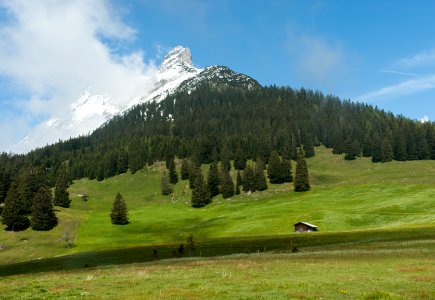 Hundskopf von der Walderalm photo