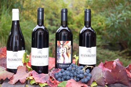 Grape leaf wine harvest