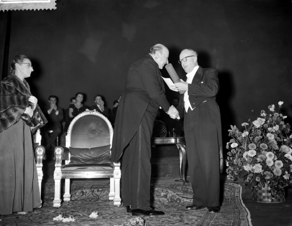 Huldiging van Albert van Dalsum in de Stadsschouwburg te Amsterdam, Albert van D, Bestanddeelnr 910-8711