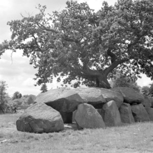 Hunebed bij Rolde, Bestanddeelnr 254-5165