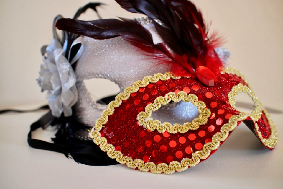 Costume disguise red