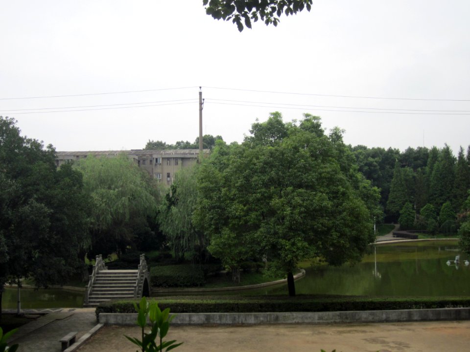Hunan Agricultural University31