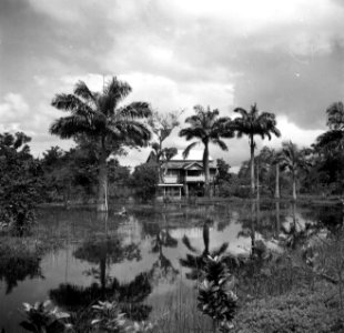 Huis op de voormalige plantage Leonsberg in Suriname, Bestanddeelnr 252-6413