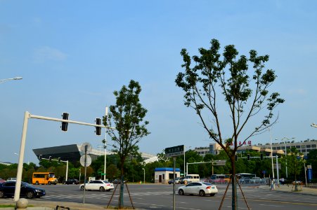 Hunan Provincial Cultural Center, Tianxin District of Changsha, Hunan, China3
