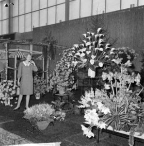 Huishoudbeurs in RAI, margrietstand, zee van bloemen, Bestanddeelnr 916-3793