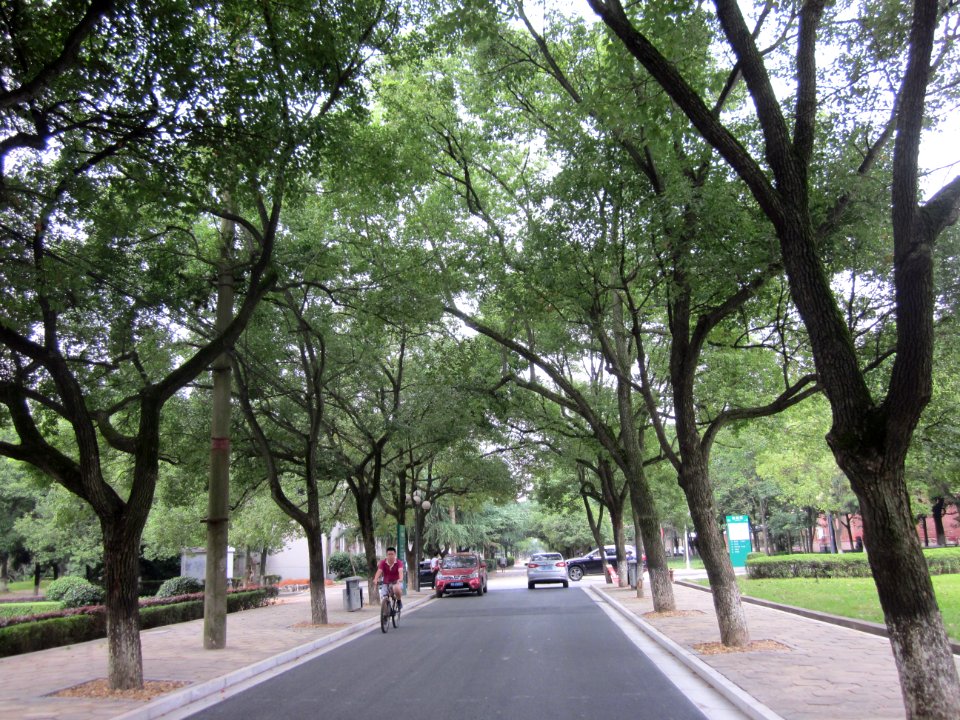 Hunan Agricultural University29