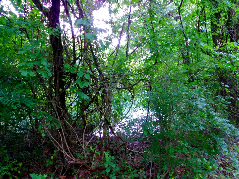 Hummelstown Quarry