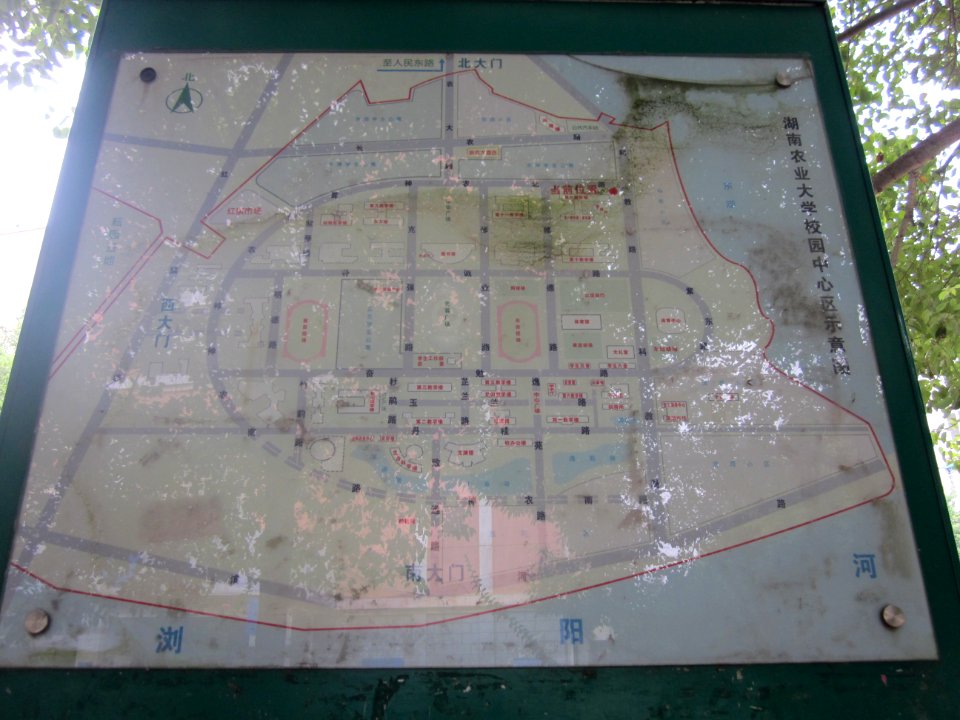 Hunan Agricultural University01