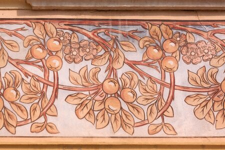 Detail mori trentino
