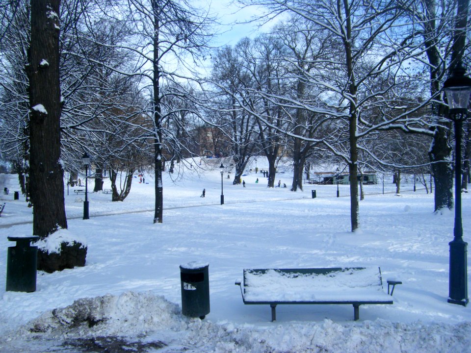 Humlegården februari 2009 - 2