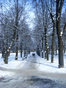 Humlegården februari 2009 - 1