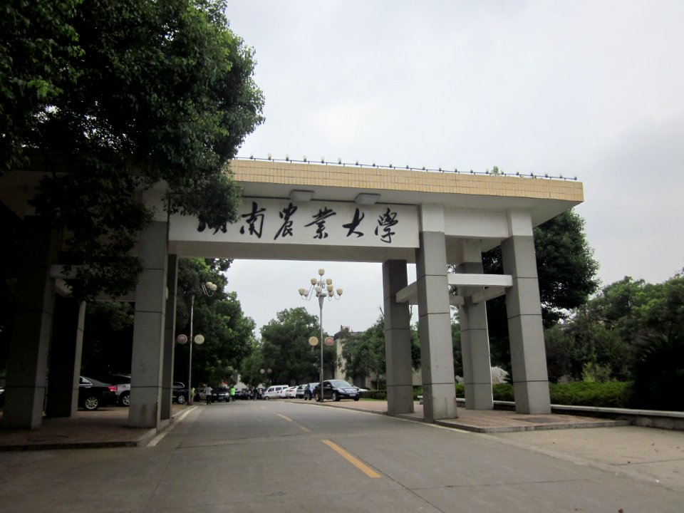 Hunan Agricultural University18